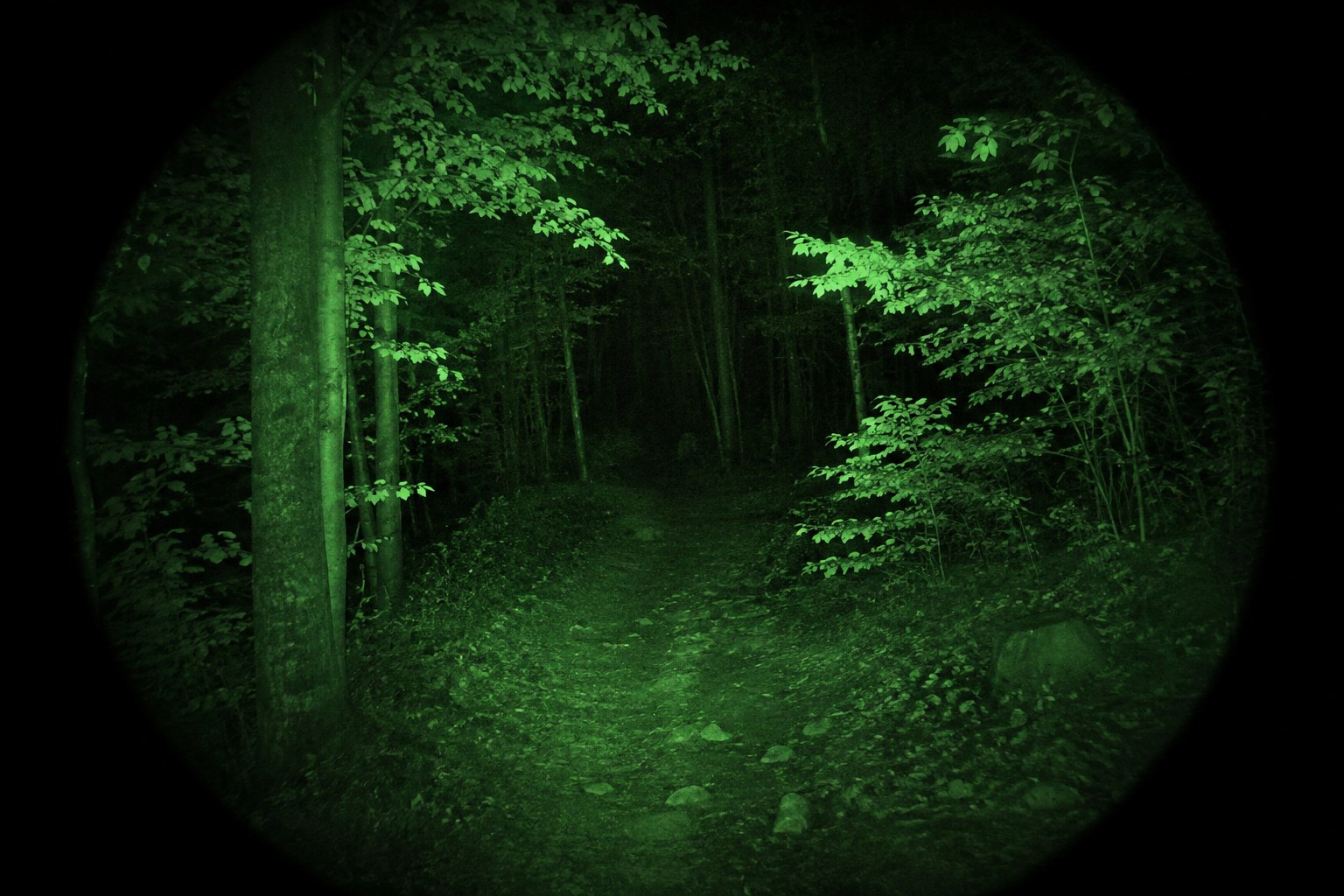 Green Phosphor and White Phosphor: What Actually Changes for the Viewer